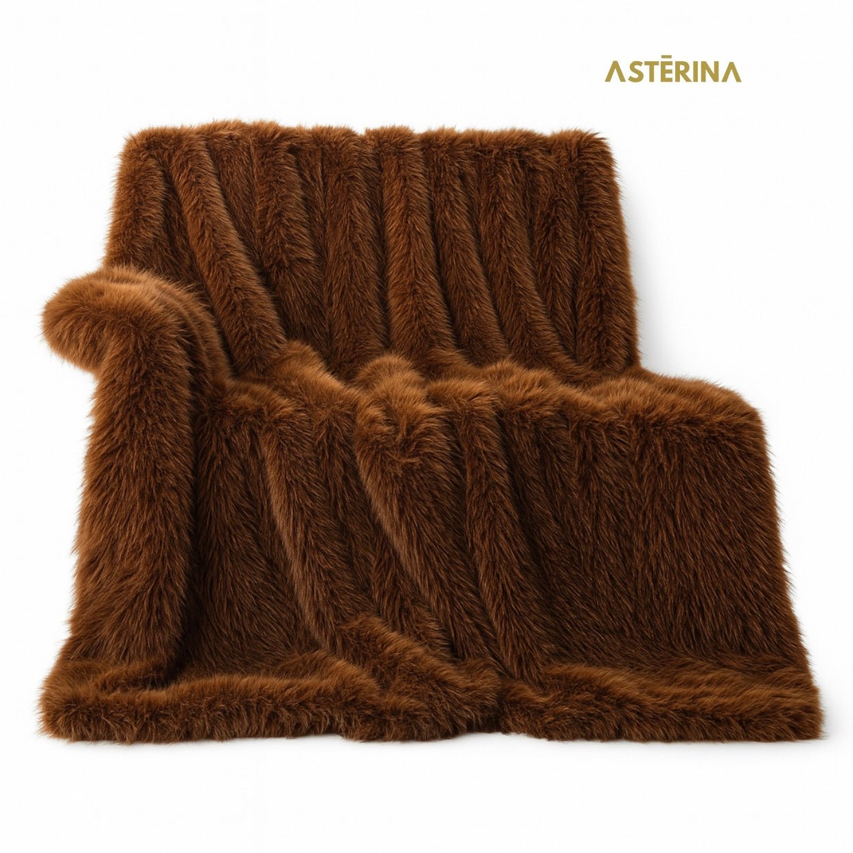 PLAID CAFÉ - Asterina