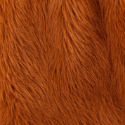 PLAID LION - Asterina