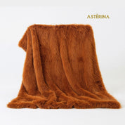 PLAID LION - Asterina